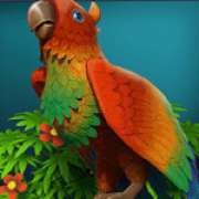 Symbol papugi w Pirate Boom