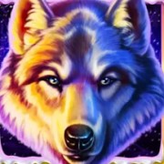 Symbol jokera w grze Fire Blaze Golden: Wolf of Tundra