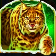 Symbol tygrysa w Fire Blaze Golden: Wolf of Tundra