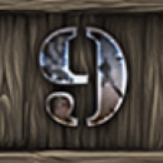 Symbol 9 w