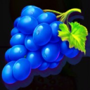Symbol Winogron w Fruit Party 2