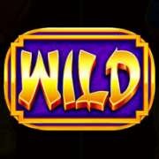 Symbol Wild w Golden Beauty
